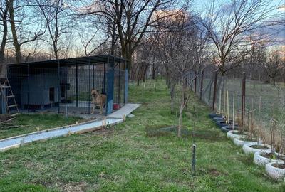 Casa de vanzare Urleta, 710 mp - 7