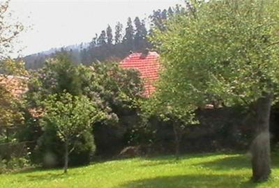 Casă cu 7 camere cu Teren 1500 Mp în Cristian - 7