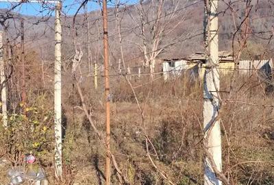 Casa batranesc si teren. - 3