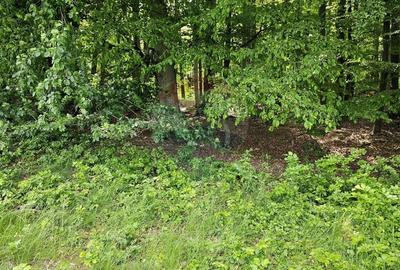 Teren agricol extravilan de 7000 mp, în Ilișești - 34