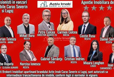 Lugoj, Cas #259; 94 Mp. Suprafata totala, POZITIE SEMICENTRALA - 15