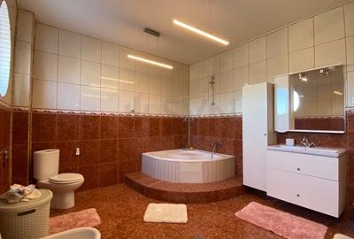 REV2003389 Vila Pantelimon proximitatea lacului - 29