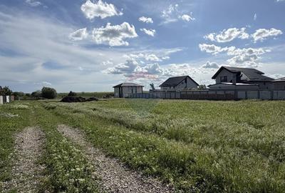 Teren Construcții intravilan de 413 mp, în Berceni - 2