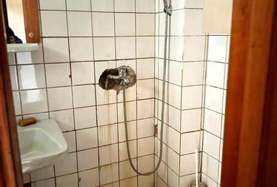 Vanzare imobil si teren 433 mp | Calea Calarasi - Popa Nan | - 24