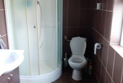 Proprietar vând casă în Dumbravița - 5