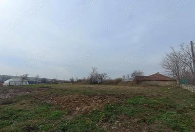 Casă cu 4 camere cu Teren 2080 Mp în Plopeni - 4