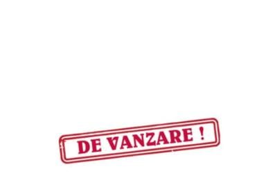 Casă cu 3 camere cu Teren 19000 Mp în Frătăuții Vechi - 1