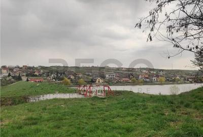 RECO . TEREN INTRAVILAN PALEU - 9