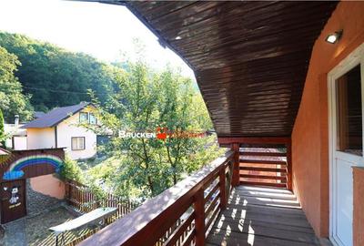 LOCUINTA TA DE VIS IN PADUREA NEAGRA - 6