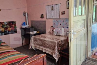 Casa la tara in Beudiu, comuna Nu?eni + teren arabil - 9