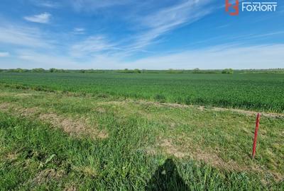 Teren agricol extravilan de 9500 mp, în Remetea Mare - 2