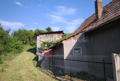 Casă cu 5 camere cu Teren 4000 Mp în Central - 13