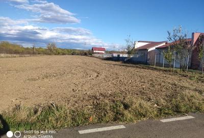 Snagov Ghermănești 4000 Mp Teren de vânzare L3 S+P+1E+M LIDL Ieșirea Spre A3 - 4