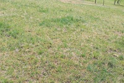 Teren de 2800 mp, în Ormindea - 2