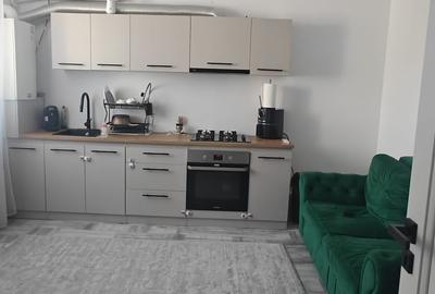 Apartament cu 2 camere nedecomandat, mobilat în Podu Roș - 2