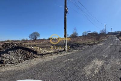 Teren de 250 mp, în Roșia - 2