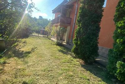 Vand casa comuna Chiuiesti Vand casa comuna Chiuiesti - 2