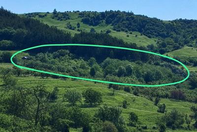Teren de 5000 mp, în Chiojdu - 2