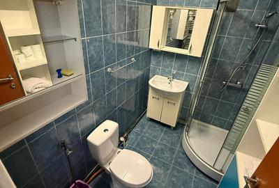 Zona Lipovei | Decomandat | Cu Centrala si Clima | 2 Balcoane | Mobilat!!! - 7