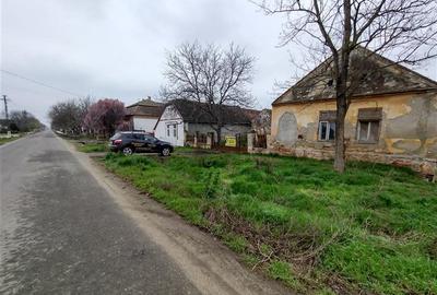 Casă individuală cu 4 camere cu Teren 1798 Mp în Iecea Mare - 30