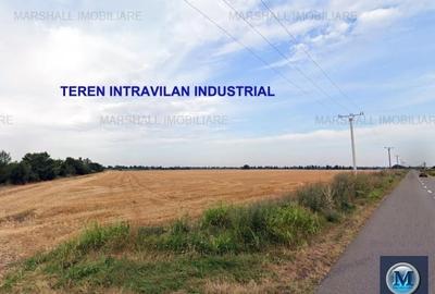 Teren Construcții intravilan de 9903 mp, în Exterior Sud - 1