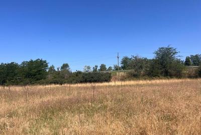 Teren agricol cu potential - 24.834 mp, zona Podul Jiului - 4