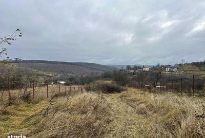 Teren de 1450 mp, în Feleacu