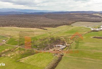 Spațiu comercial, în Șura Mică - 8