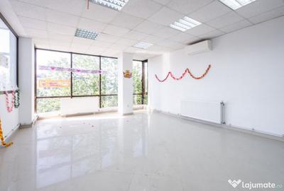 Spațiu comercial, de 250 mp, în Ferdinand - 6