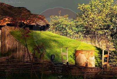 Hotel / Pensiune de vanzare Piatra Neamt - 11