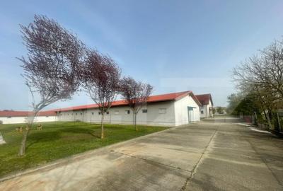 Hale de inchiriat, 676 mp in Dumbravi?a - 2