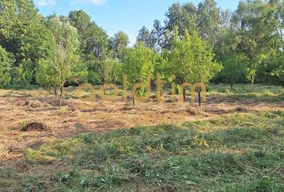 CASA IN ZONA LINISTITA/MOBILATA/UTILATA/TEREN IMPRESIONANT 5000MP/CORNU/PRAHOVA - 55