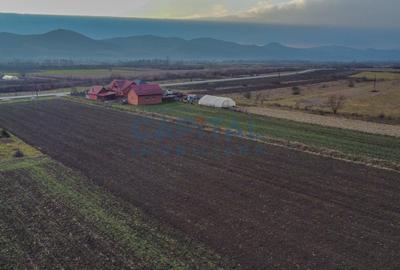 Comision 0%! Teren 17 000 mp, front 45 ml la drum national, utilitaiti in fata - 6