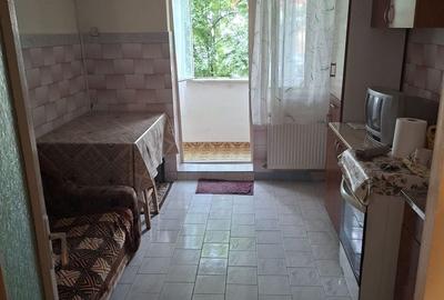 Apartament cu 2 camere semidecomandat în Viziru 1 - 1