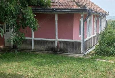 Casă cu 3 camere în Oneaga - 7