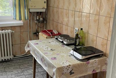 Apartament cu 2 camere nedecomandat în Cetate - 5