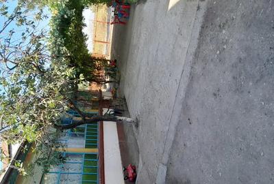 Casă cu 3 camere în Novaci