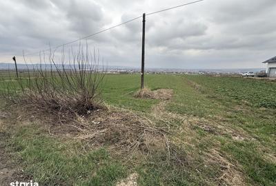 Teren de 3255 mp, în Grănicești - 6