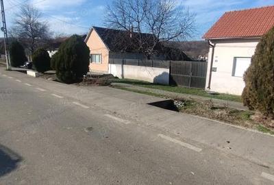 Casă cu 3 camere cu Teren 1630 Mp în Copăcele - 4