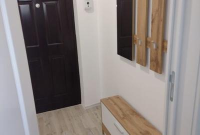 Proprietar vanzare ap superb renovat integral 2025 totul nou - 12