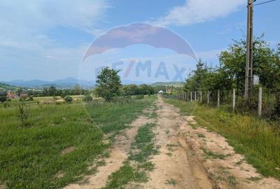 Teren intravilan de vanzare 2.444 mp - Targu Lapu? - 3