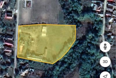 Casă cu 3 camere cu Teren 7170 Mp în Turceni - 2