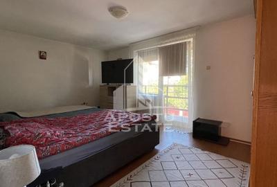 Casa Freidorf Timisoara