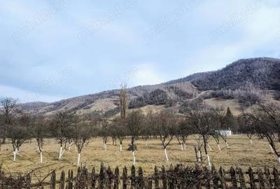 Teren de 2286 mp, în Costești - 2