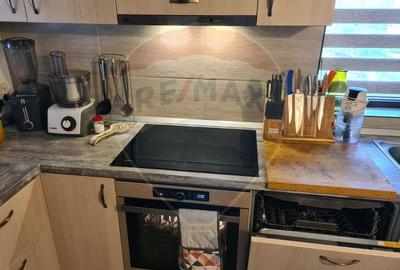 Casă individuală cu 4 camere cu Teren 11016 Mp în Valea Babei - 10