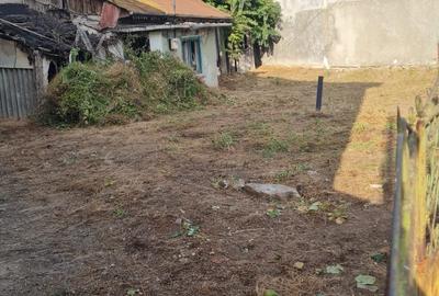 Teren de vanzare in zona Chitila / Bucurestii Noi Teren de vanzare in zona Chitila / Bucurestii Noi - 4