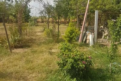 Casa de vinzare Pecica - 3