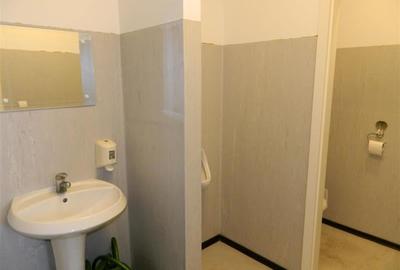 Cladire comerciala de vanzare Timisoara,  Lipovei IULIUS  MALL - 11