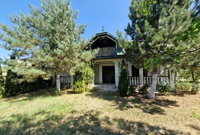 Casă cu 6 camere cu Teren 3000 Mp în Ruginești - 9