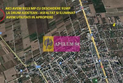 Teren de 9313 mp, în 1 Decembrie